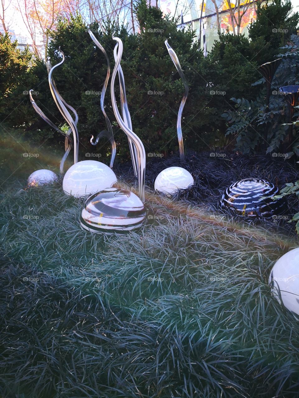 chihuly glass garden in Seattle, WA
