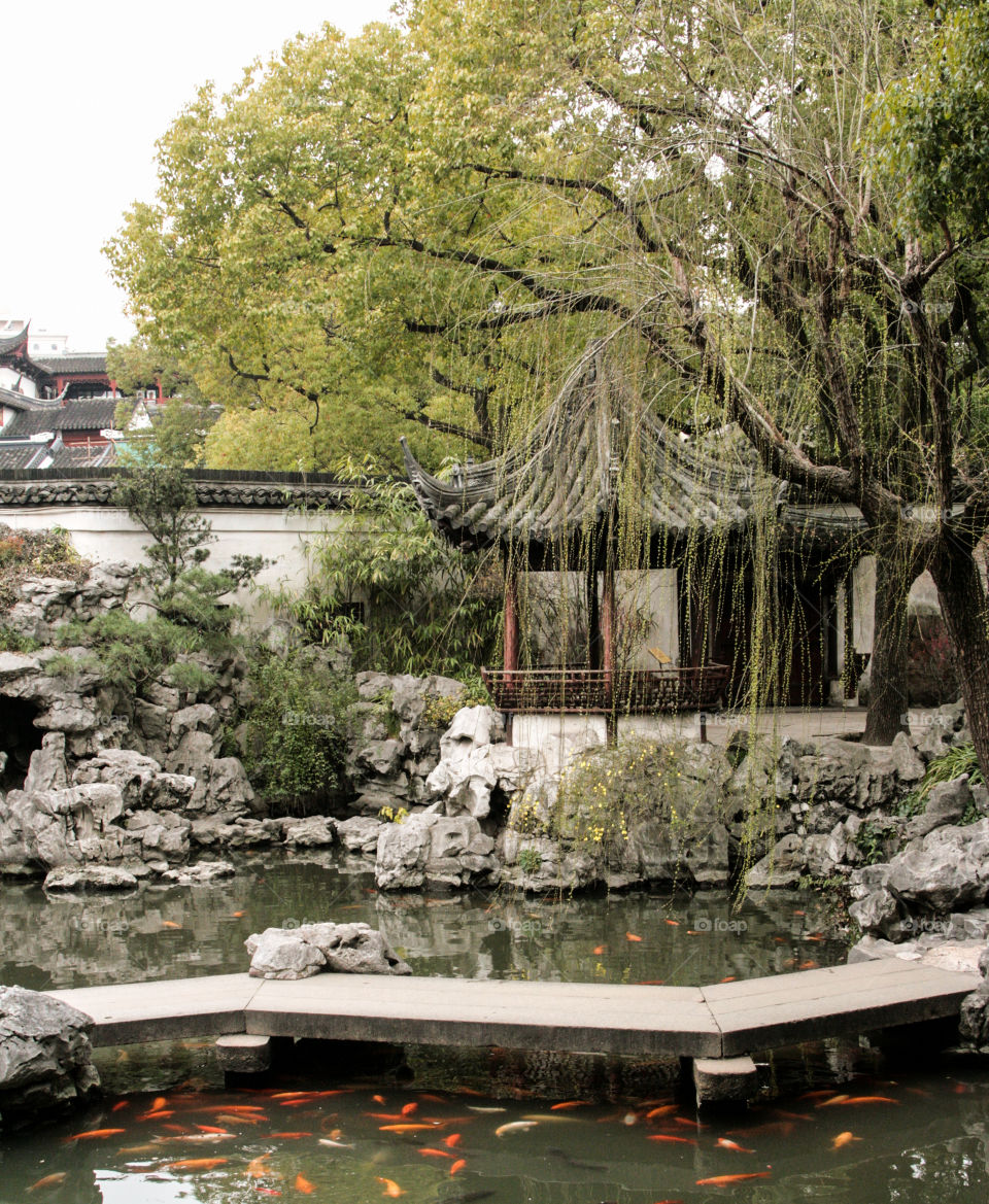 chinese garden