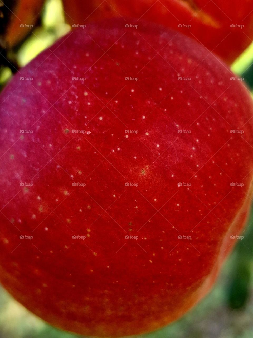 red apple