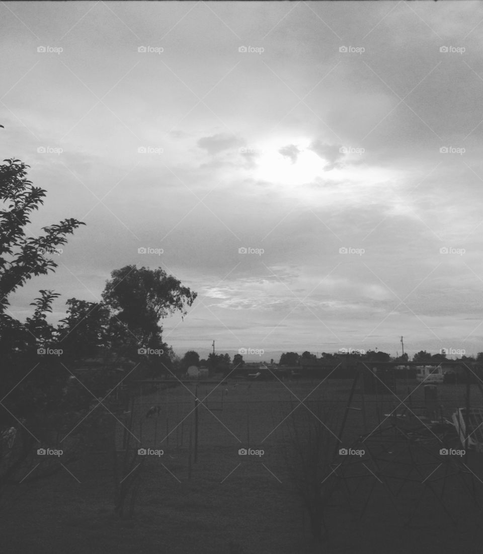 Cloudy chance of rain