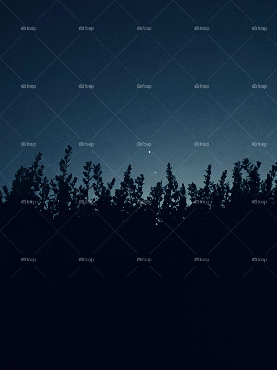 Mobile Series : Landscape 