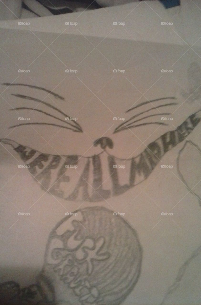 cat from Alice and wonder land