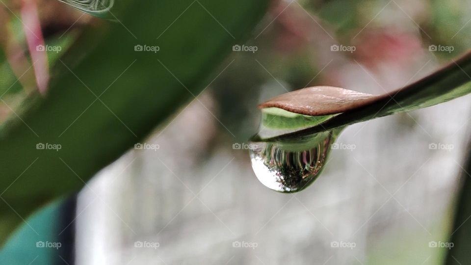 Droplet