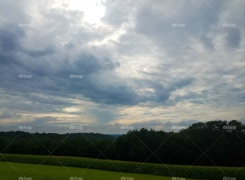 Driving the Back Roads and enjoying everything around us