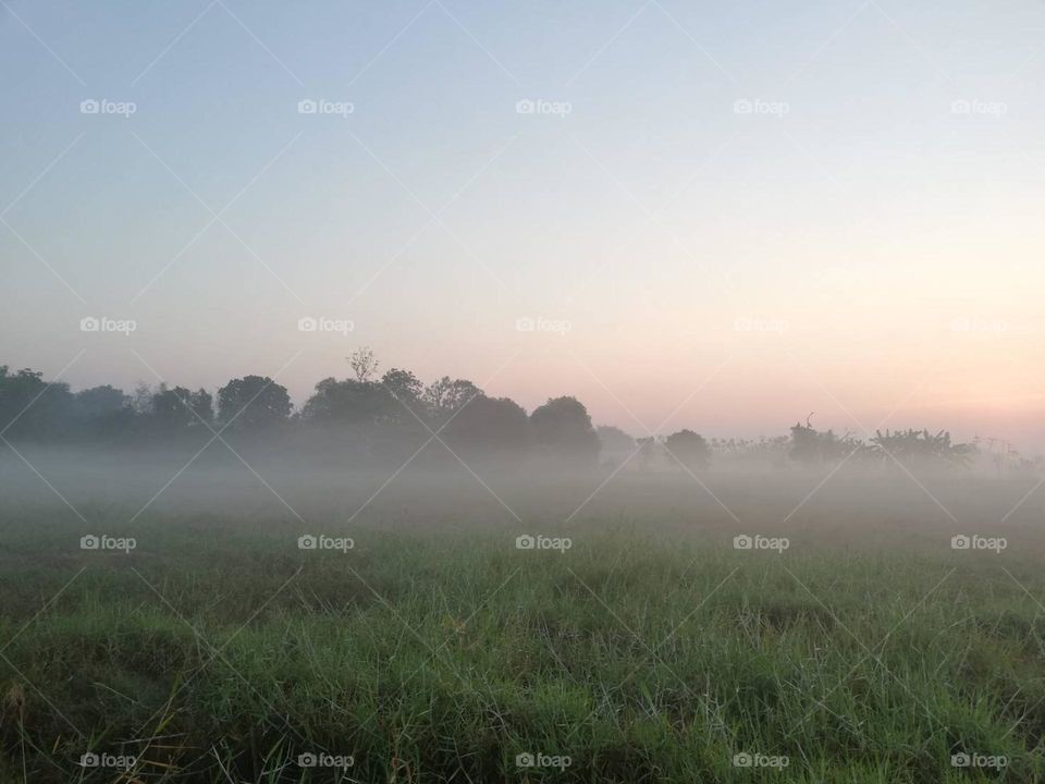 Editors ‘ choice : Photo of the week, Countryside.