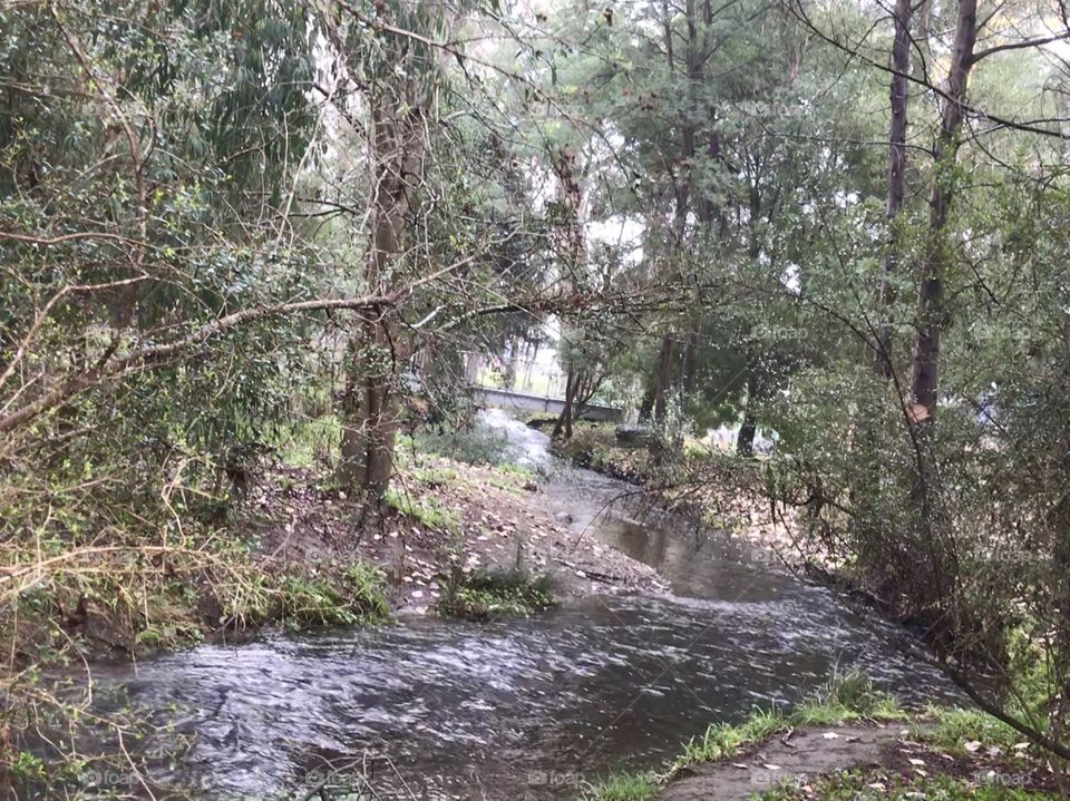 A  little stream at Beechworth Melbourne Australia 