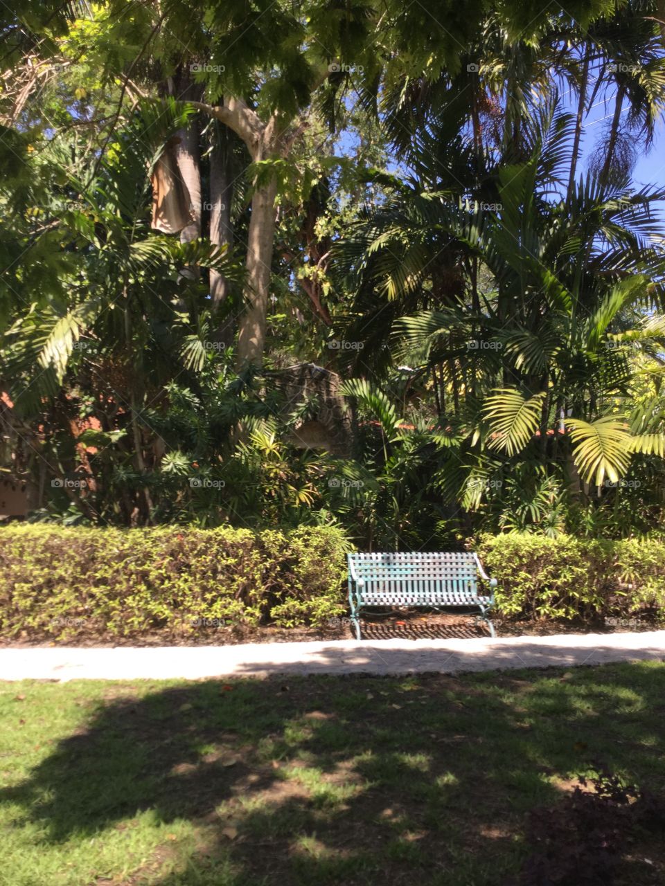 "Bench". Coconut Grove. FL