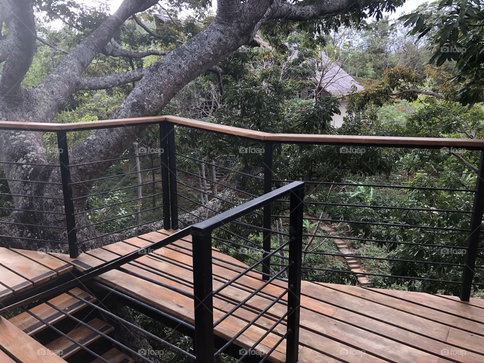 Tree casa platform Nicaragua 