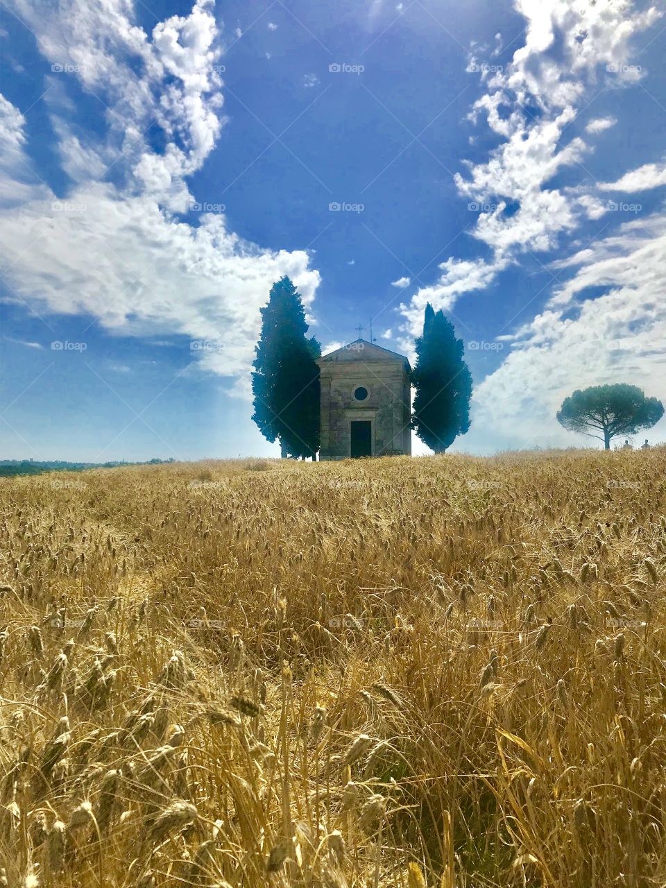 Tuscany church in wheat field 