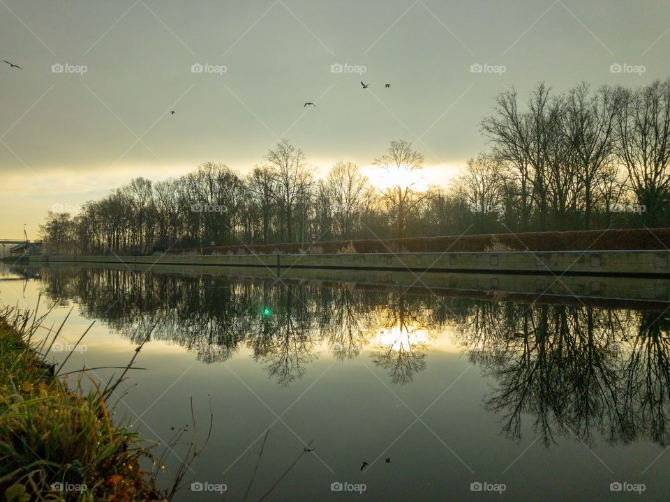 Winter water landscape with a soft sun, flying birds and grey clouds in the sky, and all reflected in the water of the canal which is lined by bare trees.