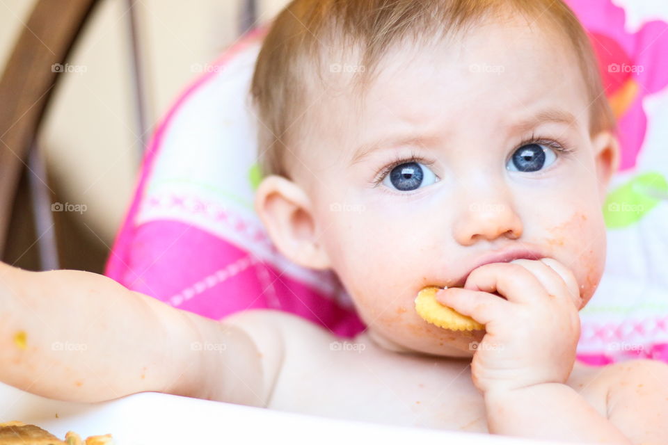 Blue eyed baby girl eating cracker snack in high chair 