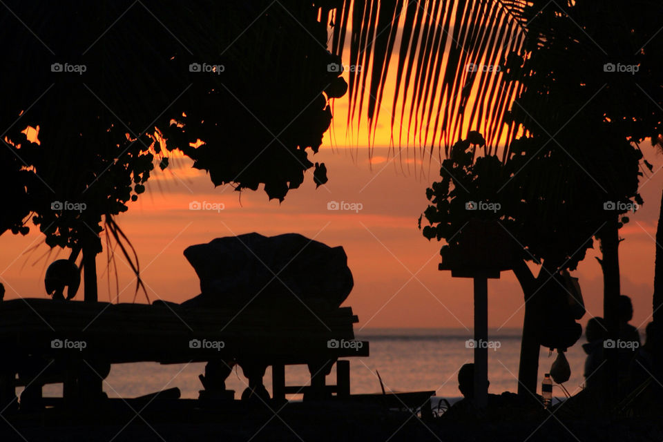 beach black tree sunset by mistywah
