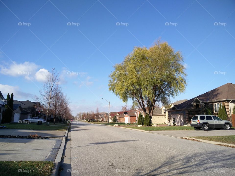 Suburban Street