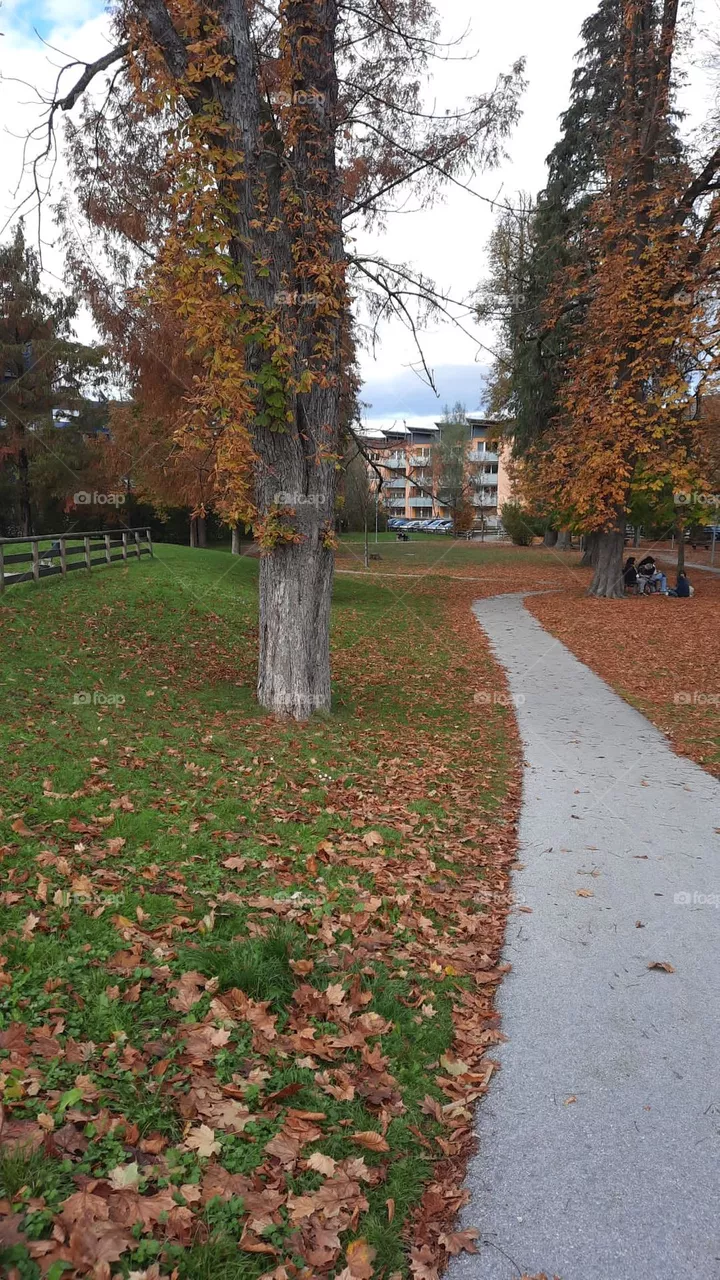Der Weg 