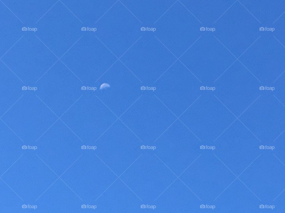 Day or night? It’s a beautiful cloudless day with the moon shining bright! Almost half 