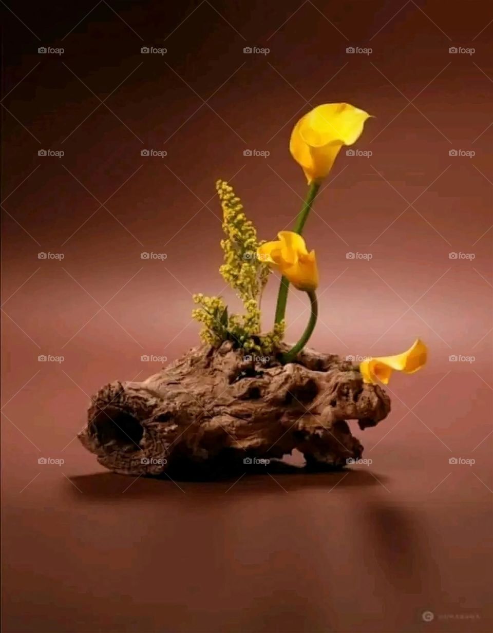 A very beautiful picture, and there is no better picture than it. There is no better picture of green herbs and colorful, red and white roses than it. Glory be to God, the natural and picturesque view, and there is no more