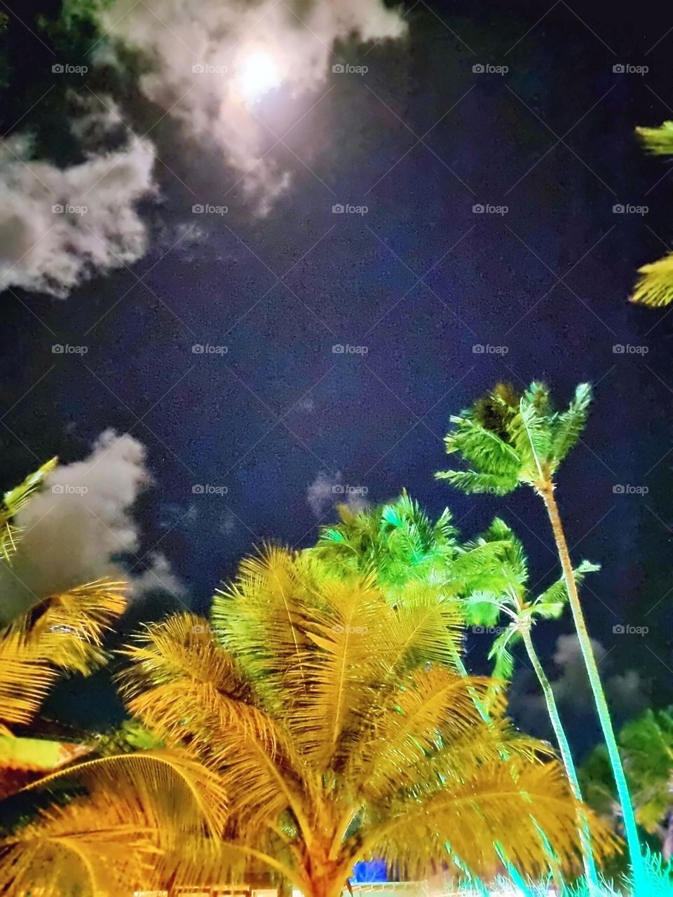 dusk shine ramadan faith month nasa water crater circle phase detail crescent galaxy glow vector glowing mystical natural calm romantic clouds eclipse celestial sunrise mountain orbit cloudscape evening star tranquil midnight landscape sphere beautif