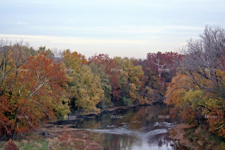 Fall foliage along the stream