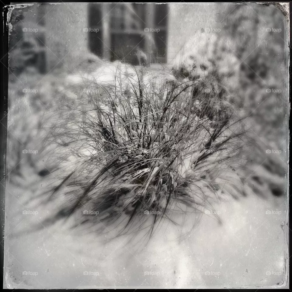 Snow