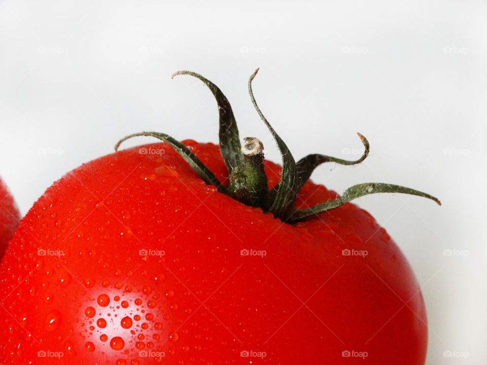 Tomato