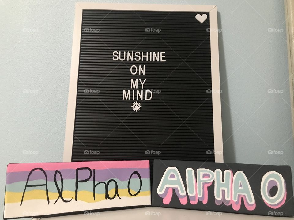Alpha omicron pi double painted canvases in front of an aesthetic black letter board 