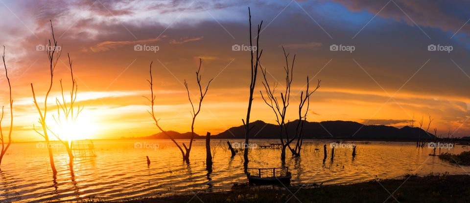 the tree, sun, cloud and water to be landscape. the mountain are background the dam.