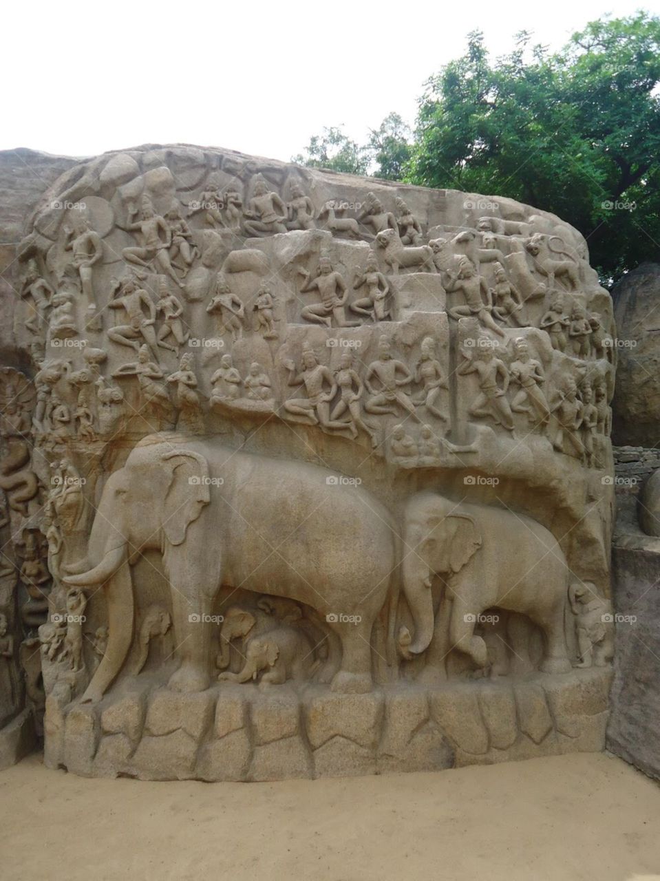 Elephants sculpted on the rock