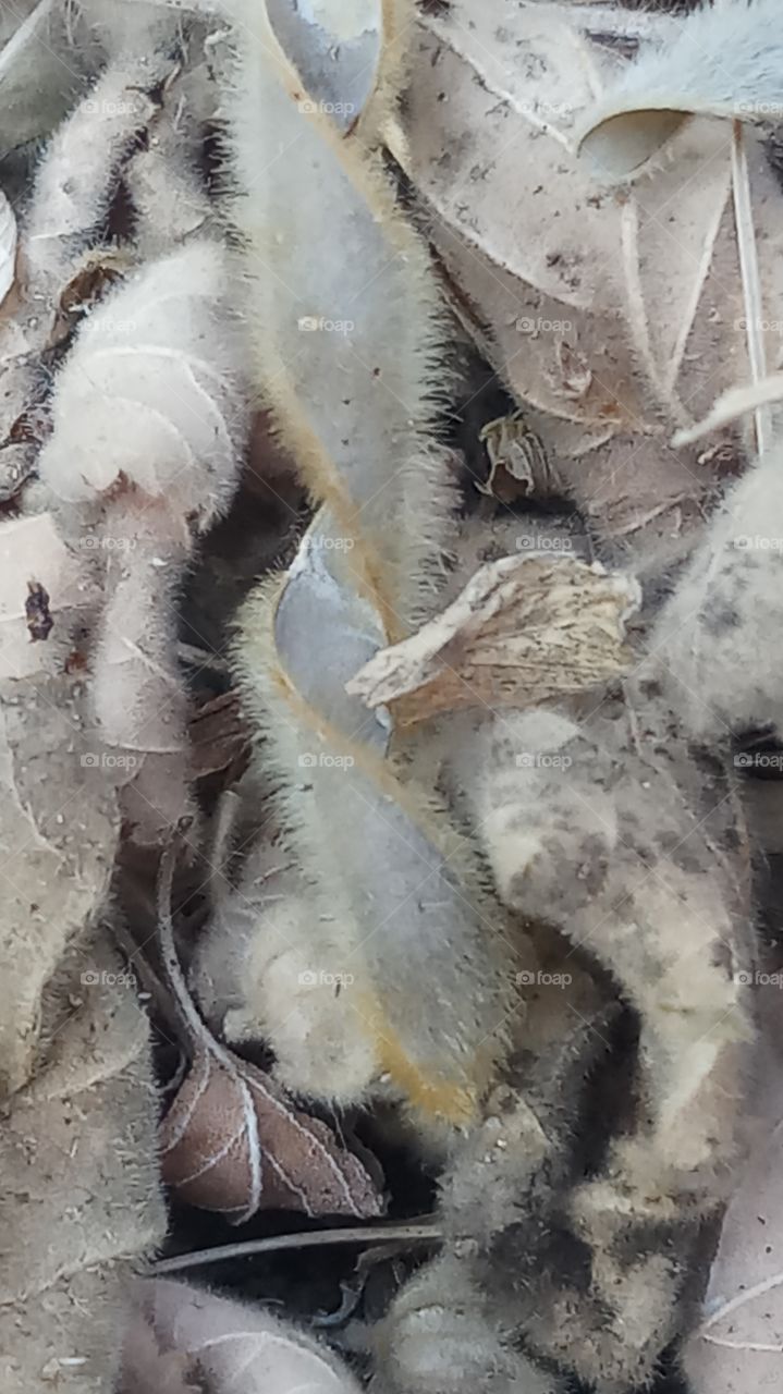 This starting winter and very very dry and very nature