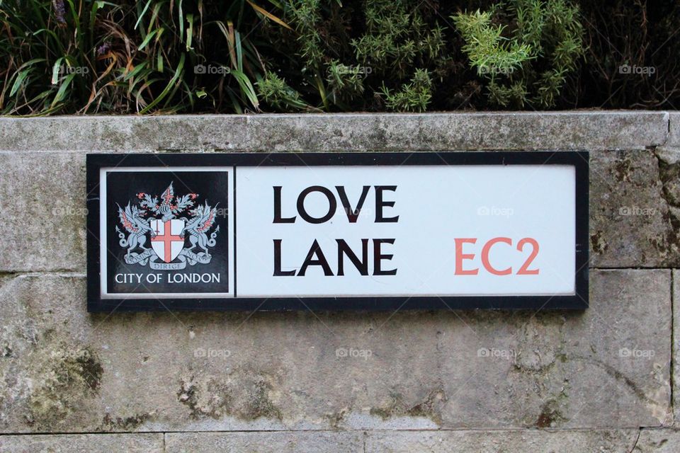 Love Lane