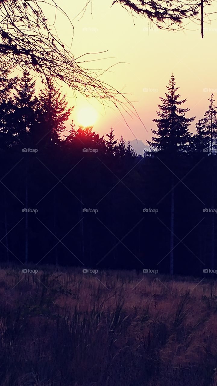 Western Washington sunset