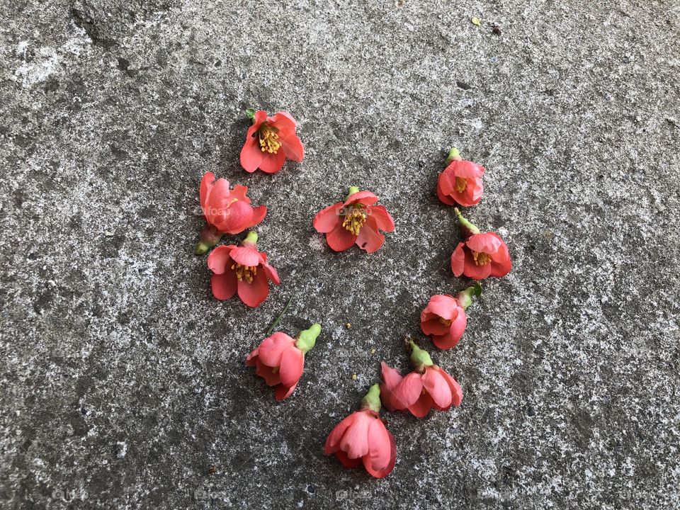 Thats just a beautiful heart made of flowers