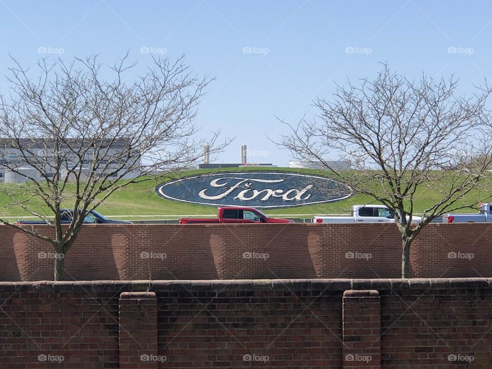 Ford Logo Between Trees