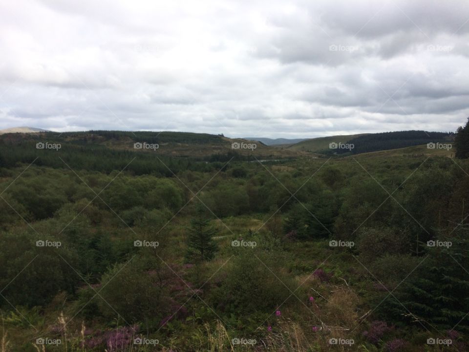 The Welsh countryside 