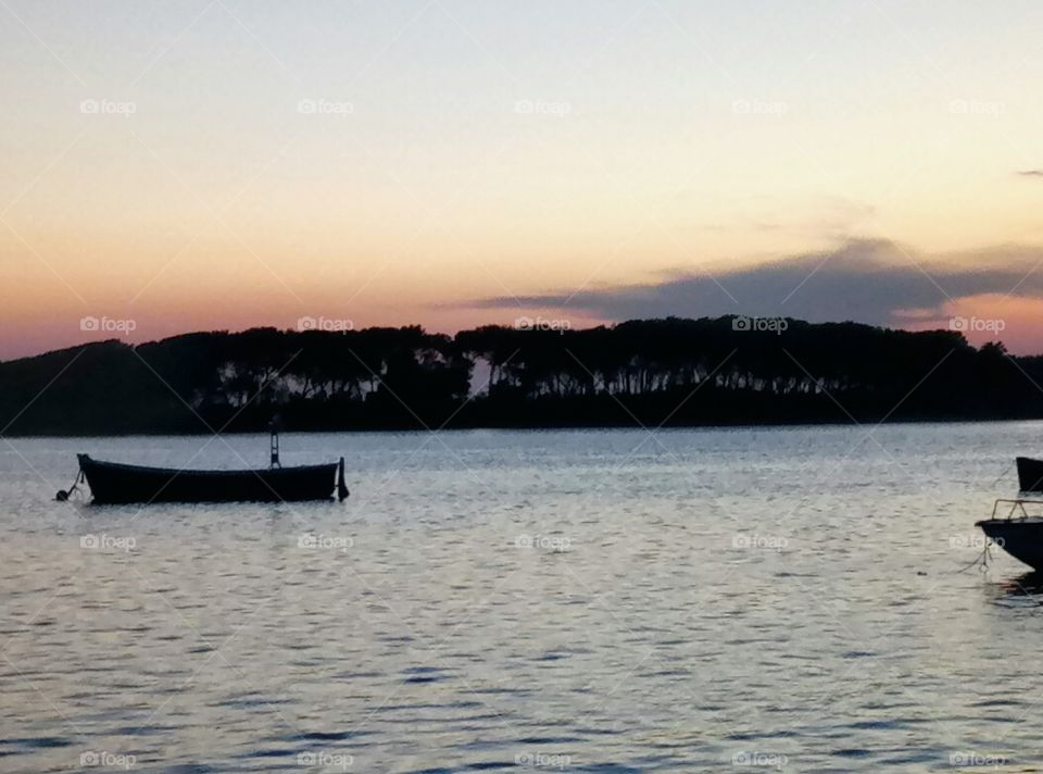 A stripe of trees on the sea