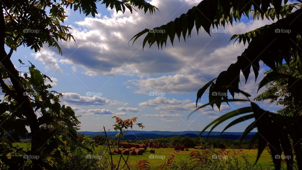 farmland view 2