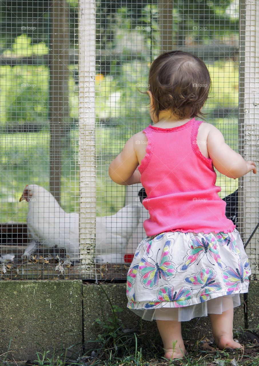 A girl and her chickens 