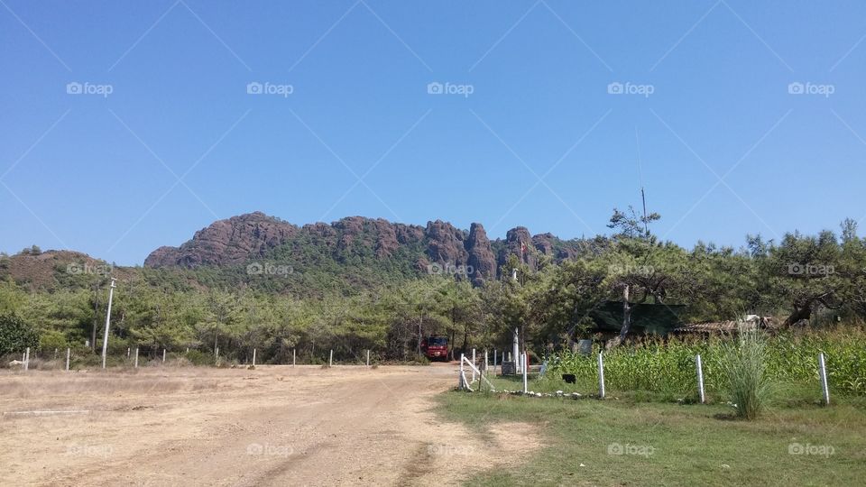 Bördübet,Marmaris