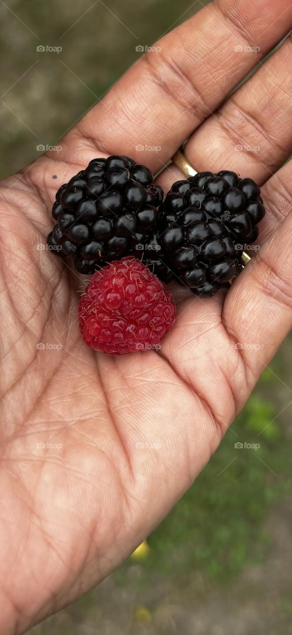 Freshly picked 