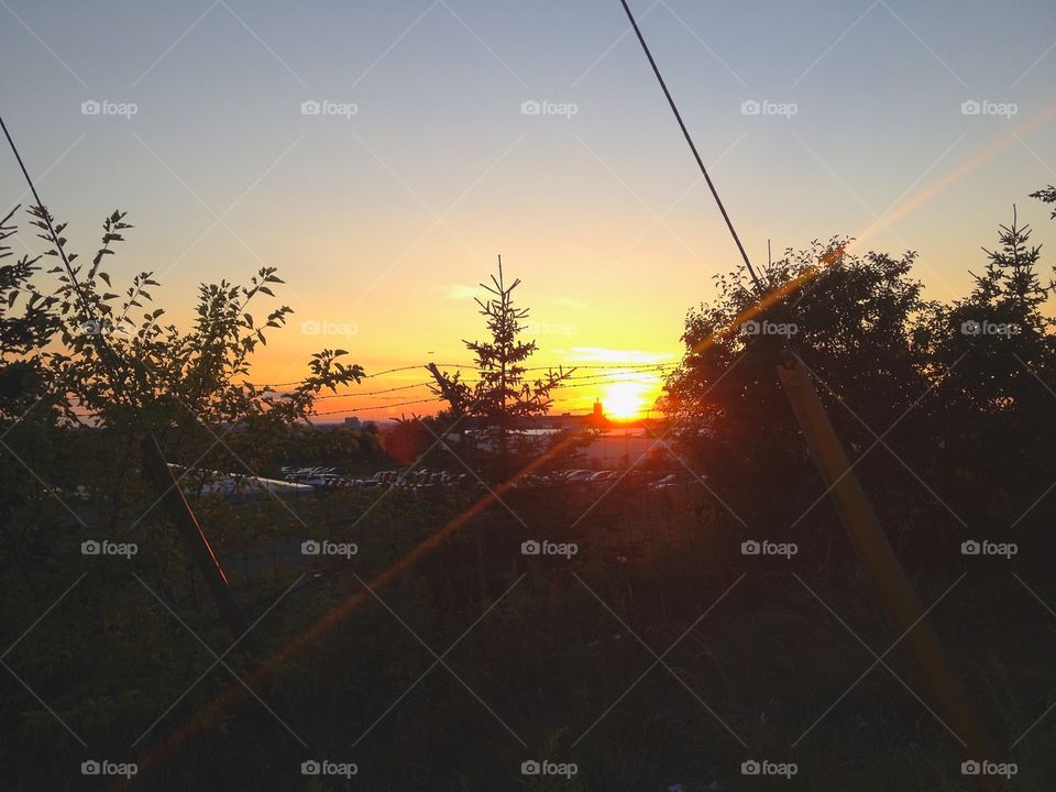 Glimpse through the trees . Beautiful sunset