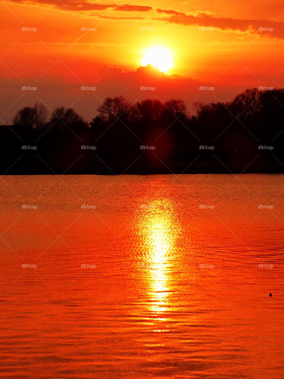 Beautiful view of the sunset 