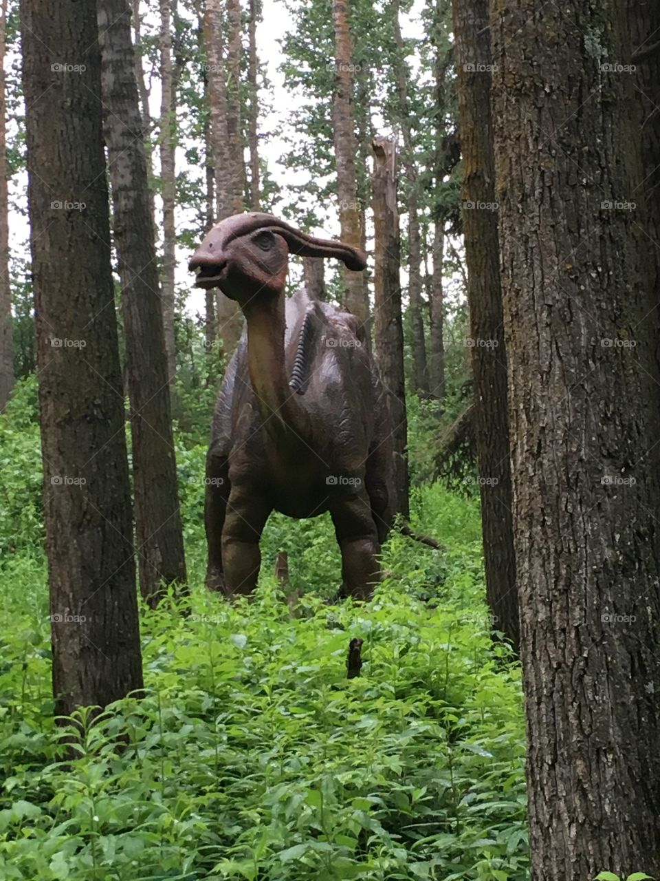 Dinosaur at Jurassic forest 