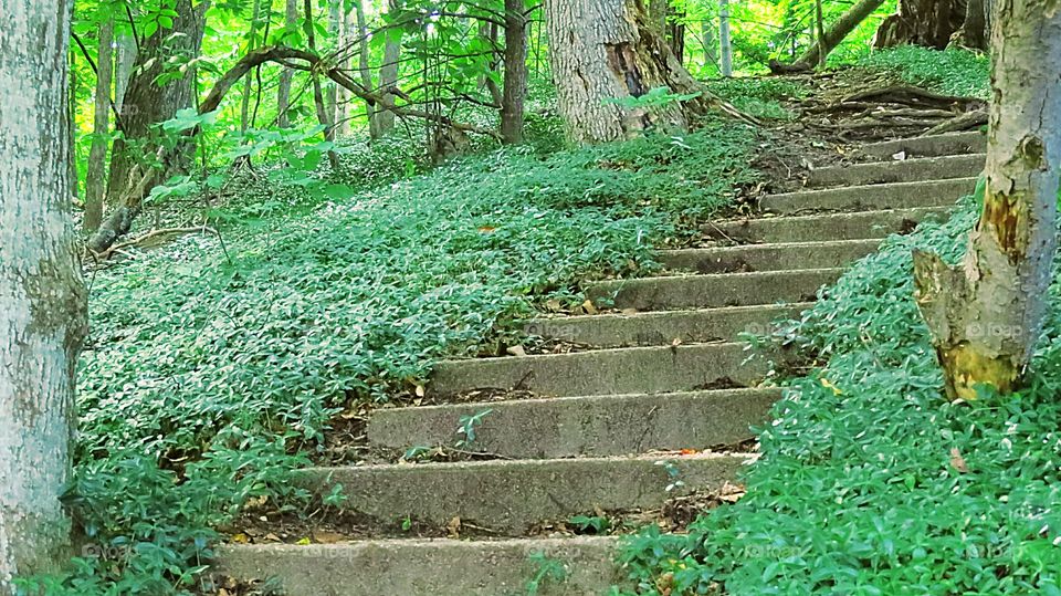 Steps leads the path