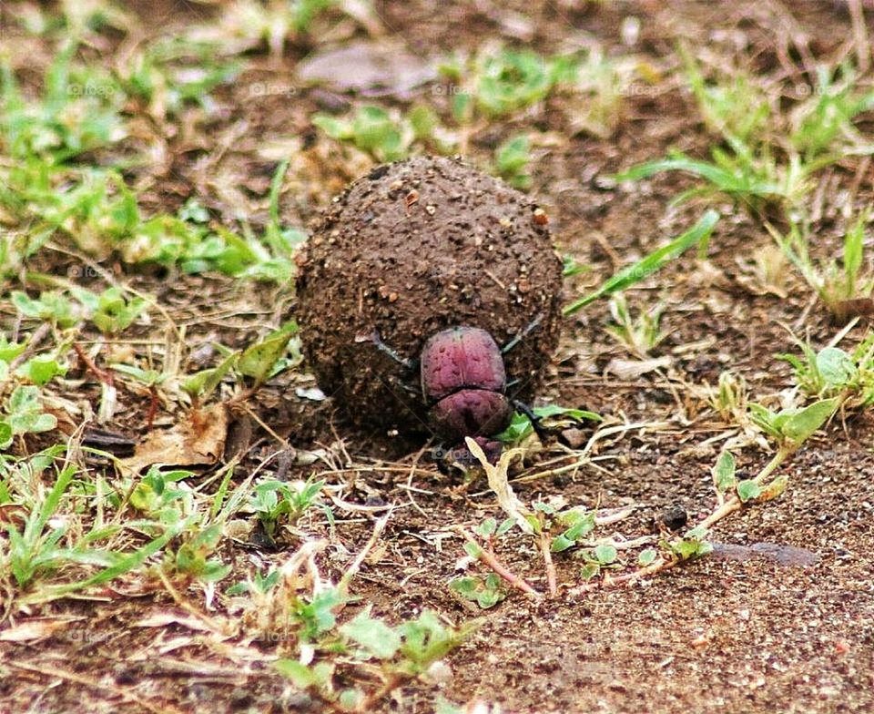 Rolling rolling rolling