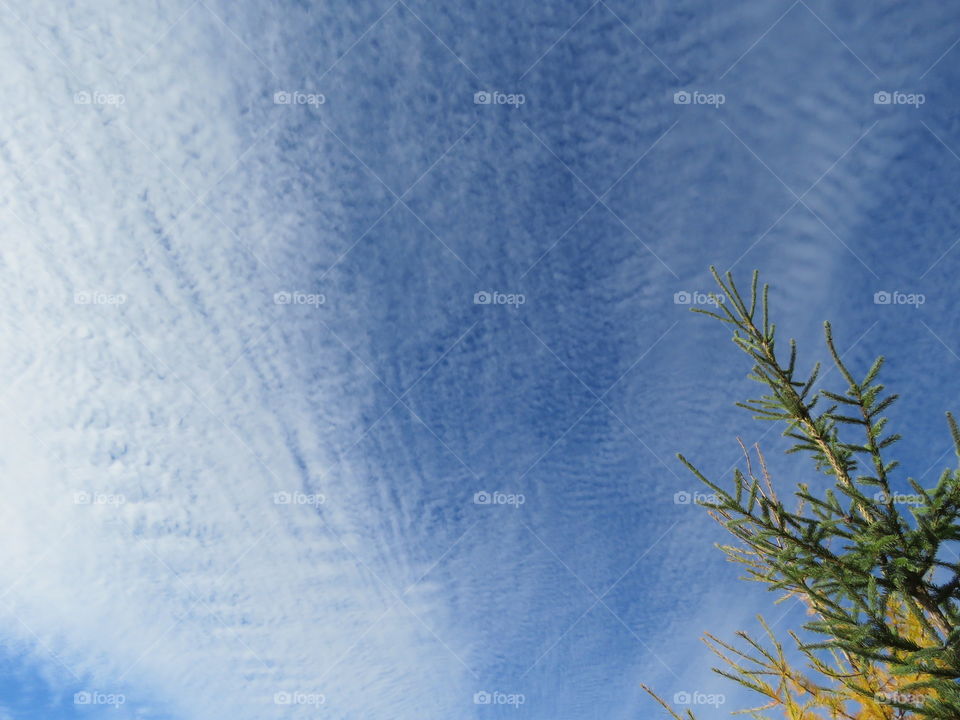 Looking up at some cool looking clouds.