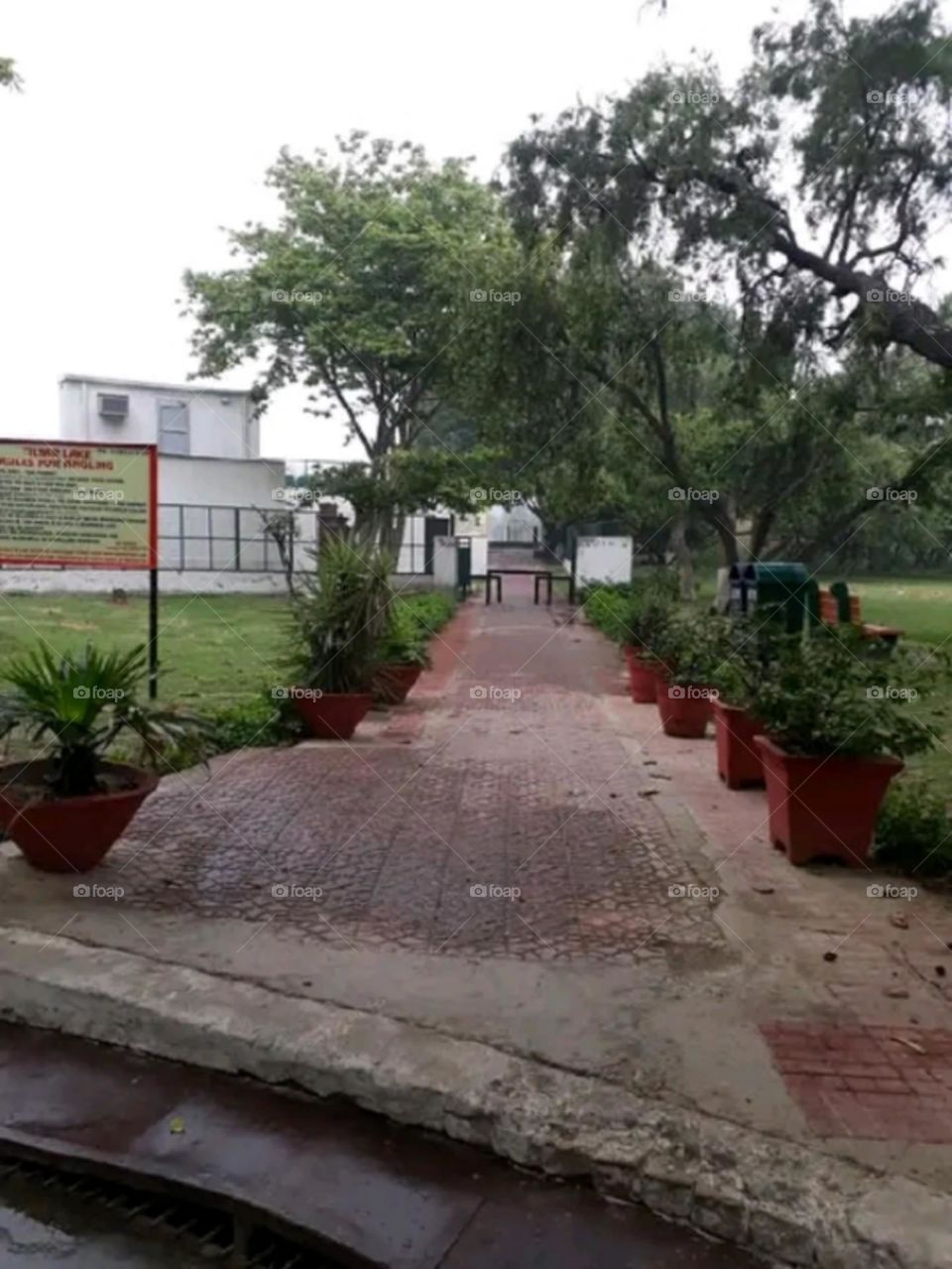 A most beautiful and attractive view of the public park.