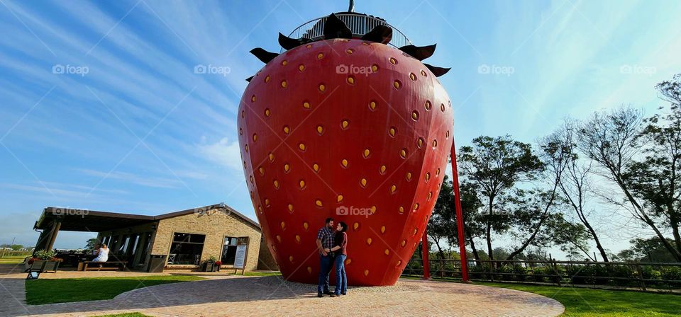 Biggest Strawberry in George, South Africa