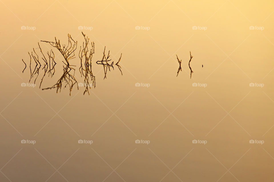 Symmetrical reflection