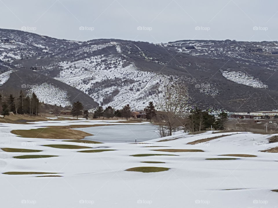 Spring is in the air