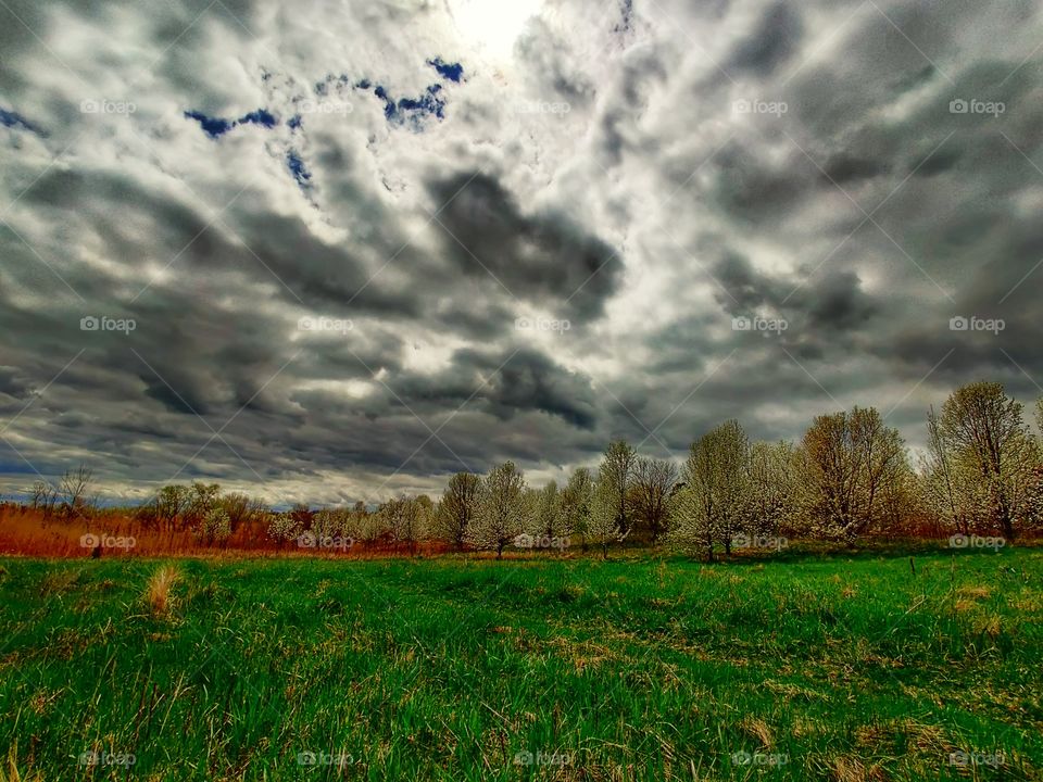 Earth and Sky