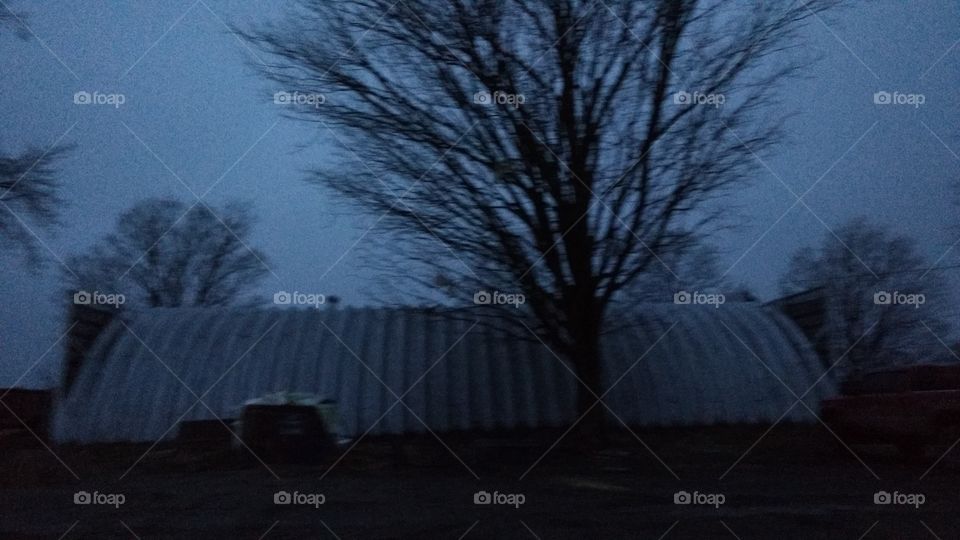 No Person, Tree, Winter, Weather, Landscape